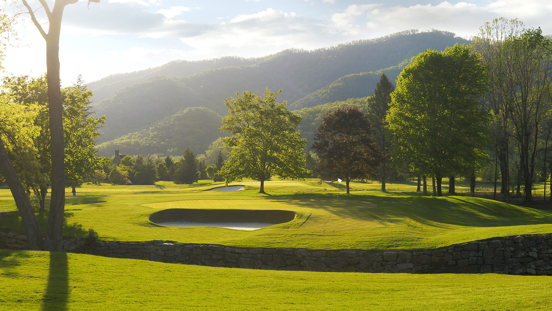 gb-legacyclub_0006_2 The Meadows Hole 11